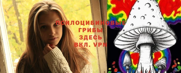 гашик Алзамай