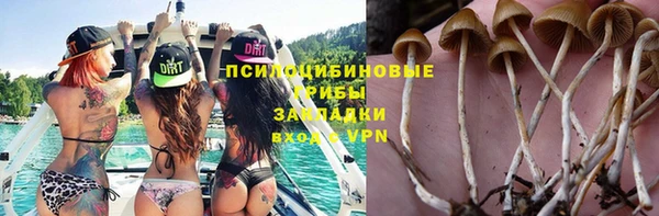 молекула духа Армянск