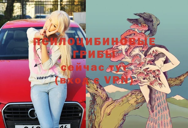Альфа ПВП Арсеньев