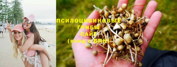 прущий лед Алексин